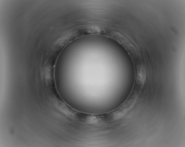 X0000111600616200907161554