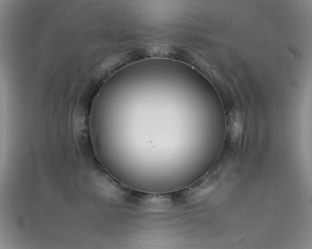 X0000111600619200907161554