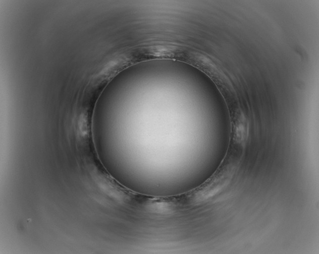 X0000111600620200907161554