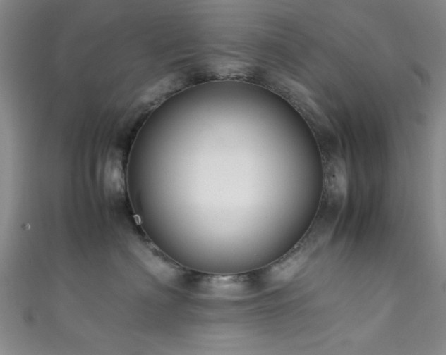 X0000111600622200907161554