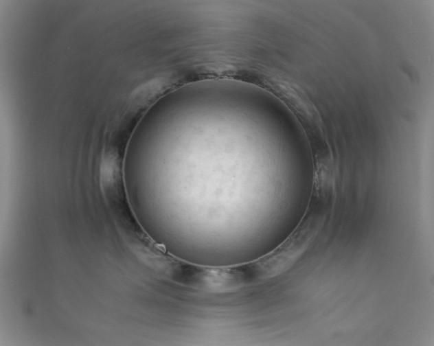 X0000111600623200907161554