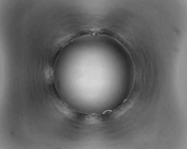 X0000111600624200907161554