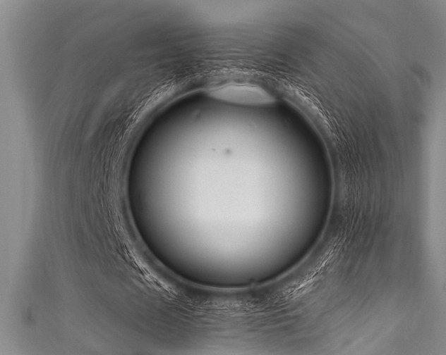 X0000111600625200907161553