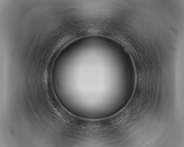 X0000111600626200907161553