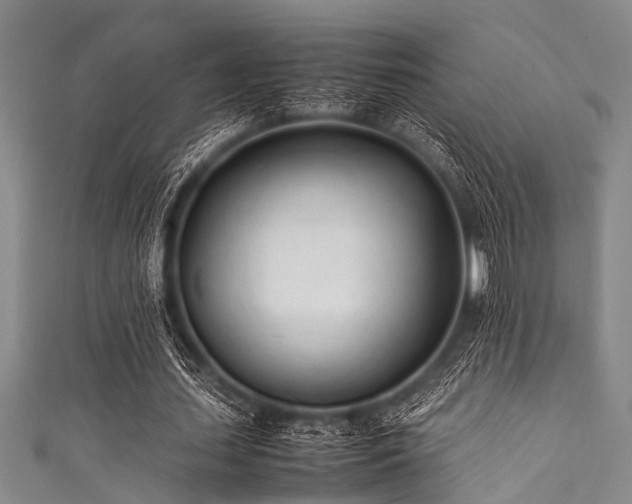 X0000111600627200907161553