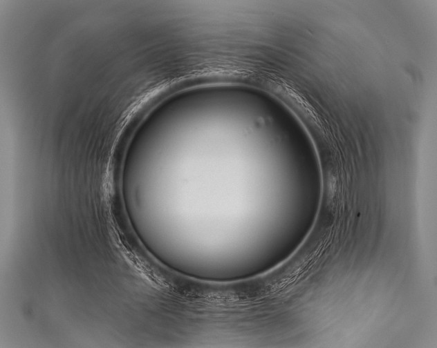 X0000111600628200907161553