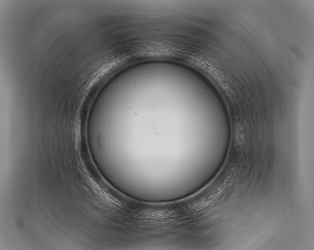 X0000111600629200907161553