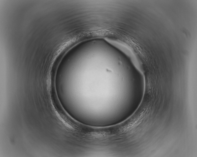 X0000111600630200907161553