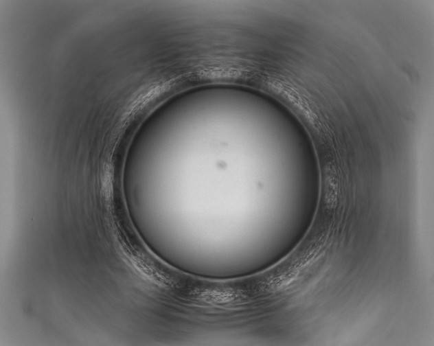 X0000111600631200907161553