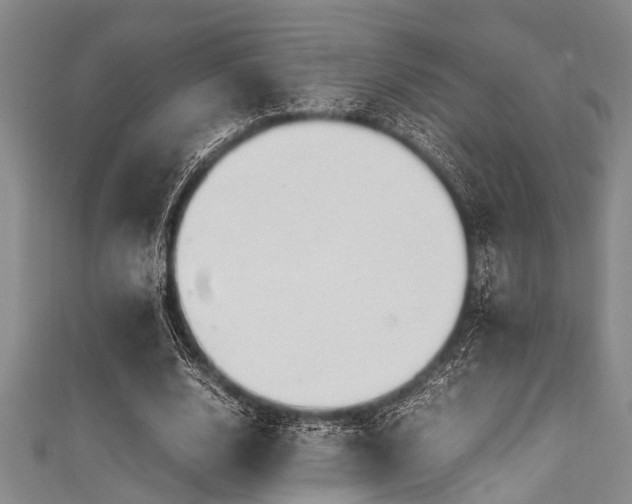 X0000111600632200907161553
