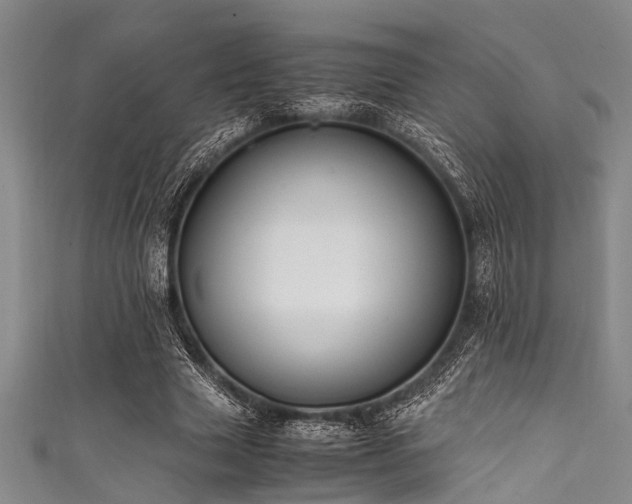 X0000111600633200907161553