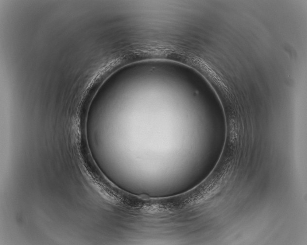 X0000111600634200907161553