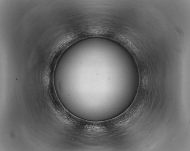 X0000111600635200907161553