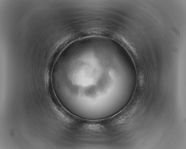 X0000111600637200907161553