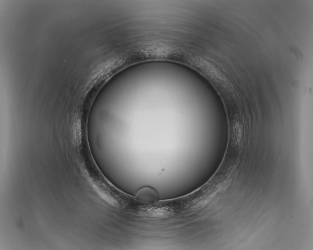 X0000111600638200907161553