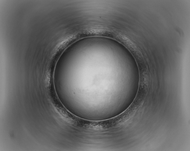 X0000111600640200907161553