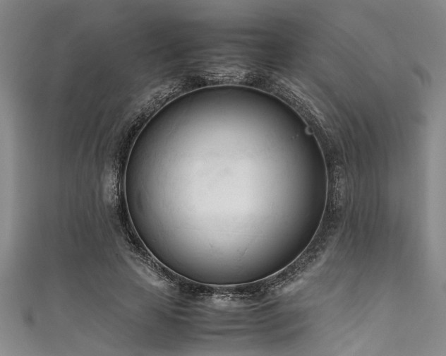 X0000111600641200907161553
