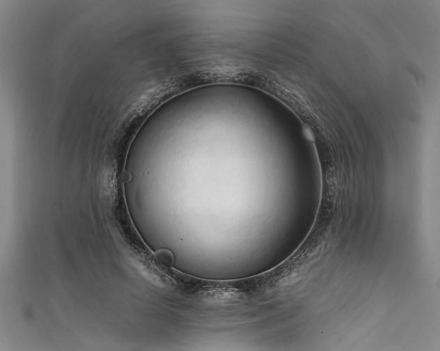 X0000111600642200907161553