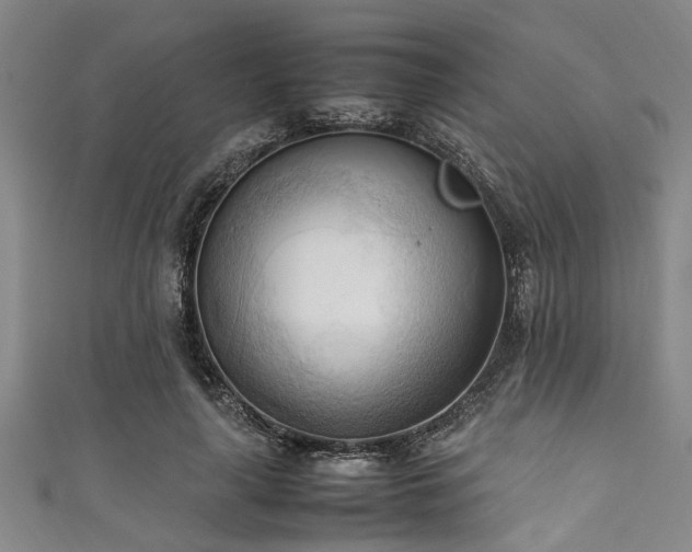 X0000111600643200907161553