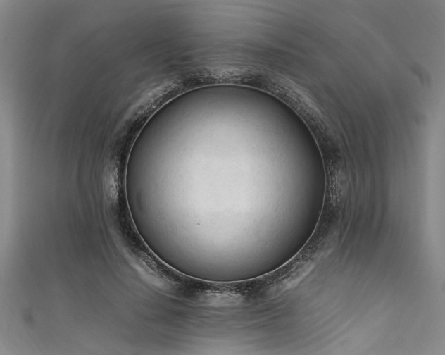 X0000111600644200907161553
