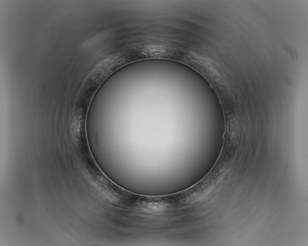X0000111600645200907161553