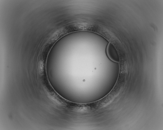 X0000111600646200907161553