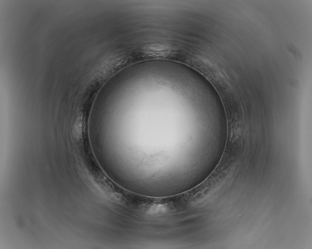 X0000111600647200907161553
