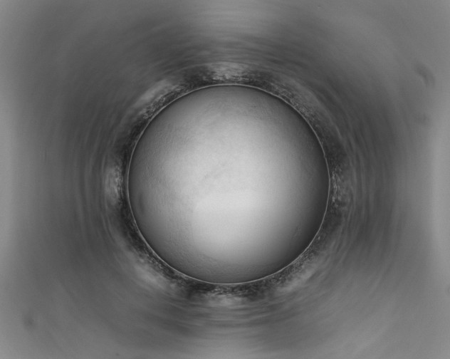 X0000111600648200907161553