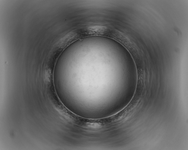 X0000111600649200907161554