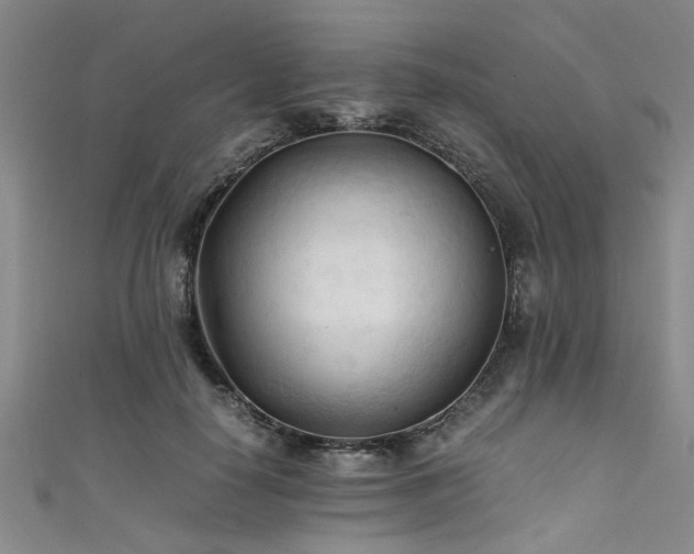 X0000111600650200907161554