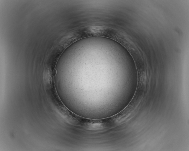 X0000111600651200907161554