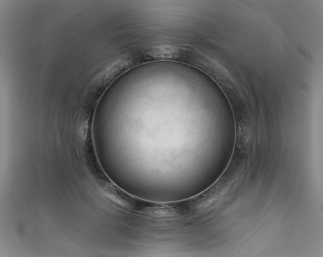 X0000111600652200907161554