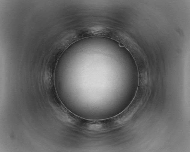 X0000111600653200907161554