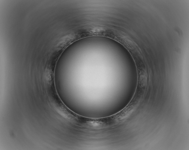 X0000111600654200907161554