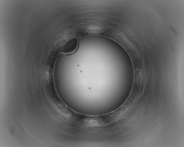 X0000111600655200907161554