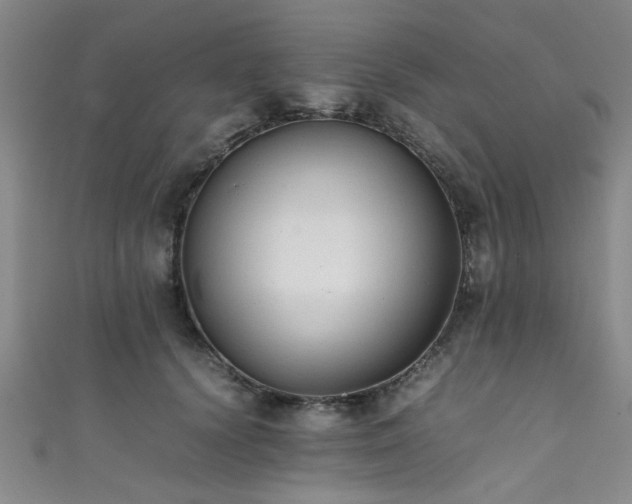 X0000111600656200907161554
