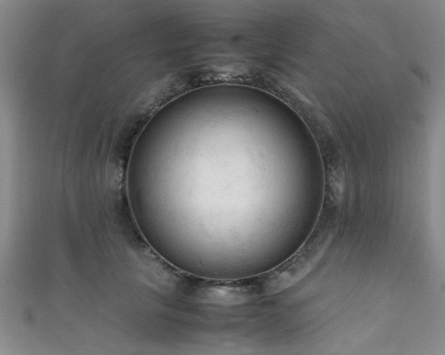 X0000111600657200907161554