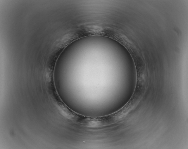 X0000111600658200907161554