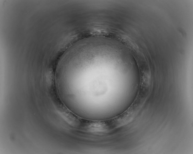 X0000111600659200907161554