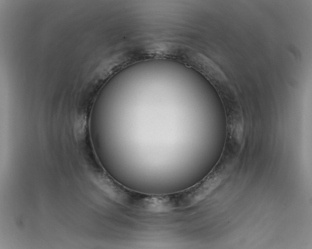 X0000111600660200907161554