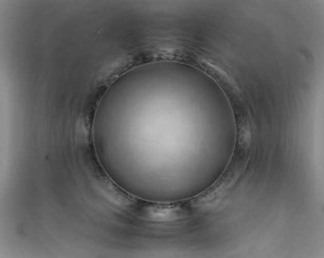 X0000111600661200907161554