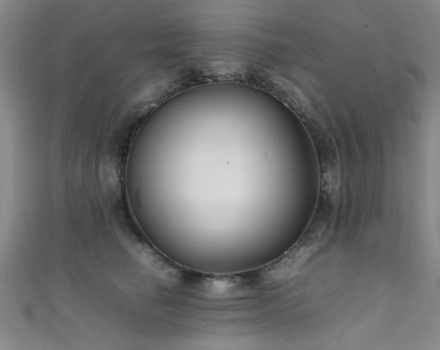 X0000111600662200907161554