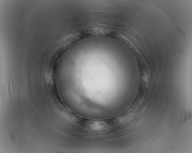 X0000111600663200907161554
