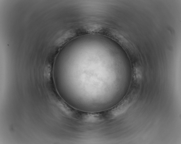 X0000111600664200907161554