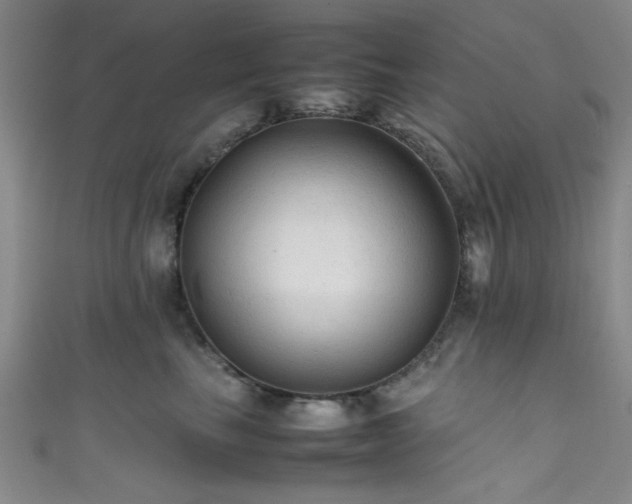 X0000111600665200907161554