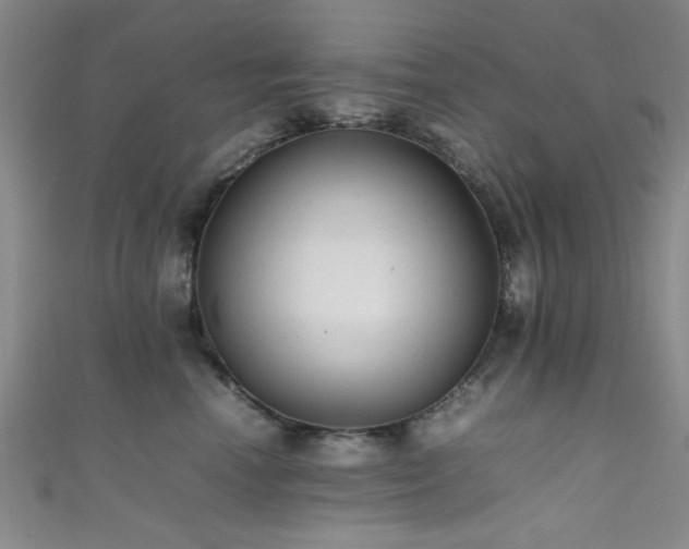 X0000111600666200907161554