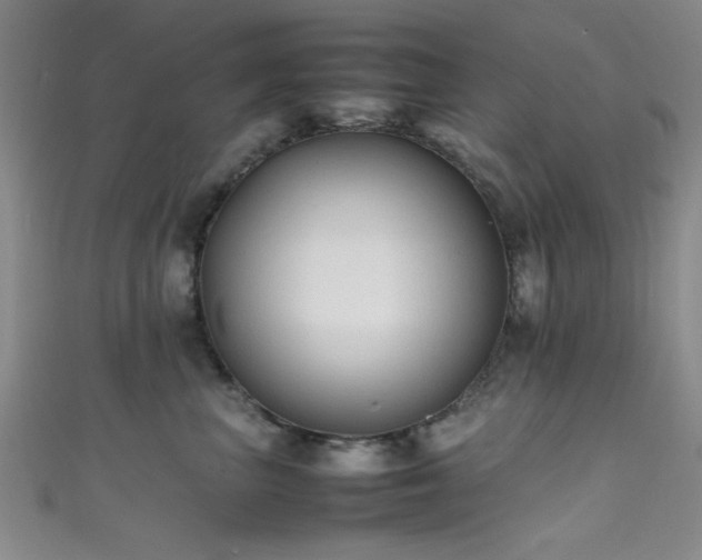 X0000111600667200907161554