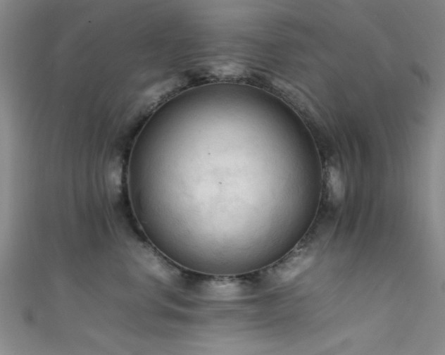 X0000111600668200907161554