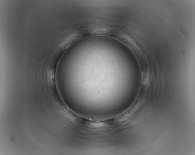 X0000111600669200907161554