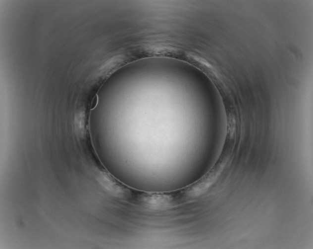X0000111600670200907161554